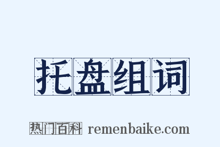 托盘组词是什么意思的图片